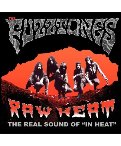 The Fuzztones RAW HEAT: THE REAL SOUND OF IN HEAT Vinyl Record $9.90 Vinyl