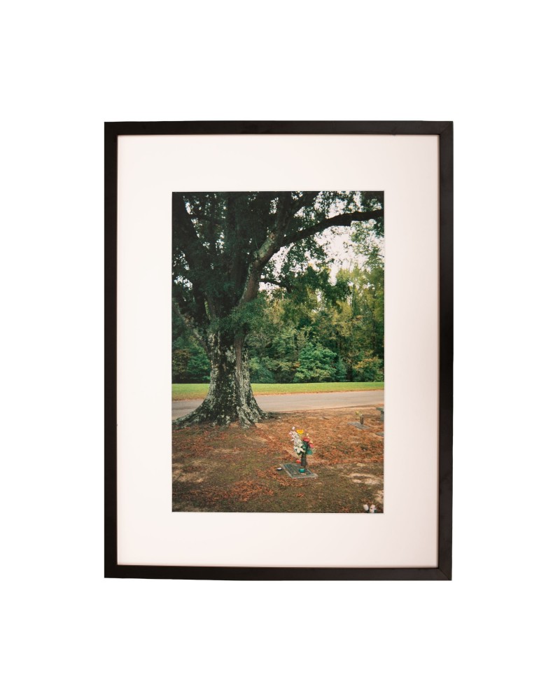 Kevin Morby Chris Bell Grave and Tree - Framed Photo $180.00 Decor