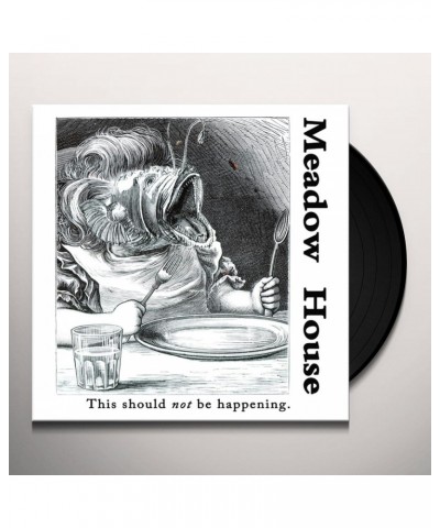 Meadow House THIS SHOULD NOT BE HAPPENING Vinyl Record $8.69 Vinyl