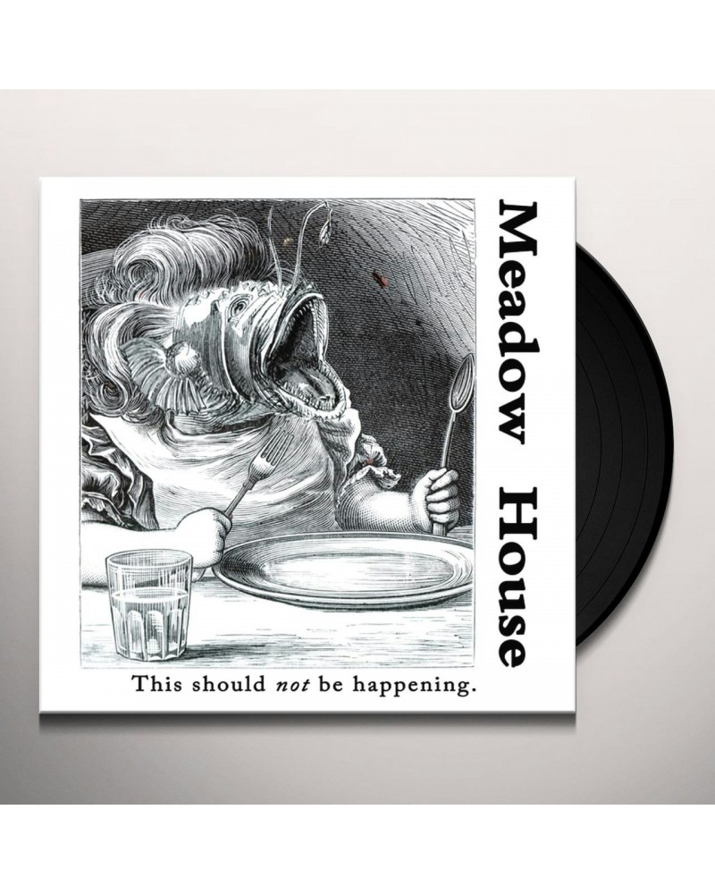 Meadow House THIS SHOULD NOT BE HAPPENING Vinyl Record $8.69 Vinyl