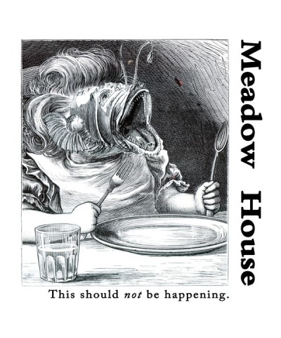 Meadow House THIS SHOULD NOT BE HAPPENING Vinyl Record $8.69 Vinyl