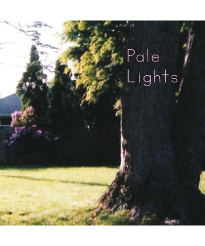 Pale Lights You And I Vinyl Record $5.51 Vinyl